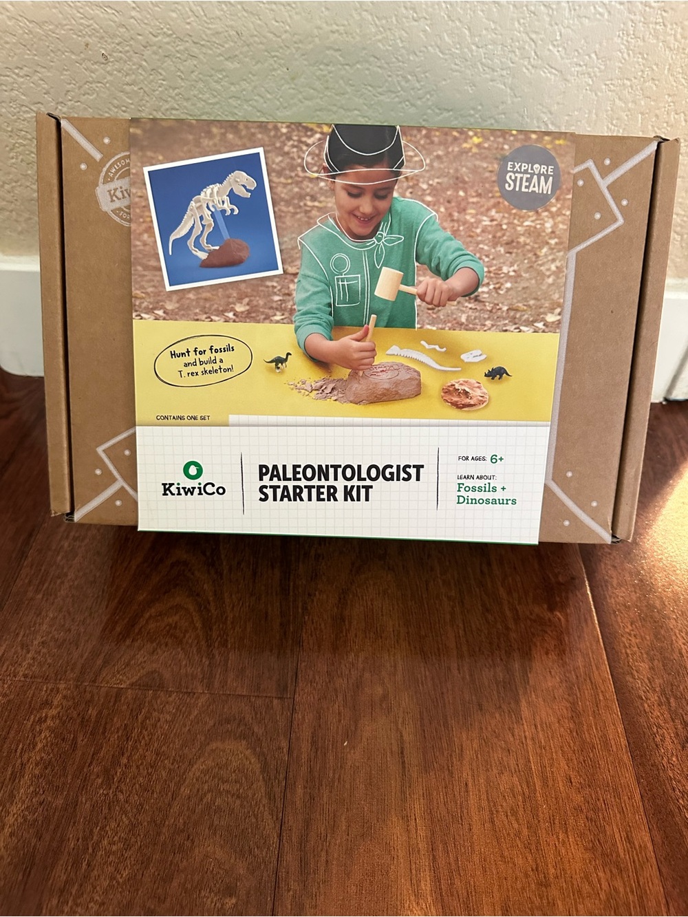 Kiwico Paleontologist Starter Kit – Green